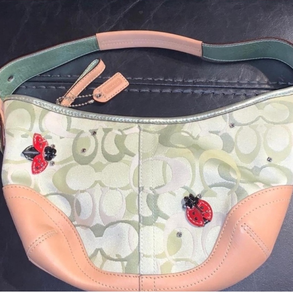 ISO I am in search of these bags( do not buy)